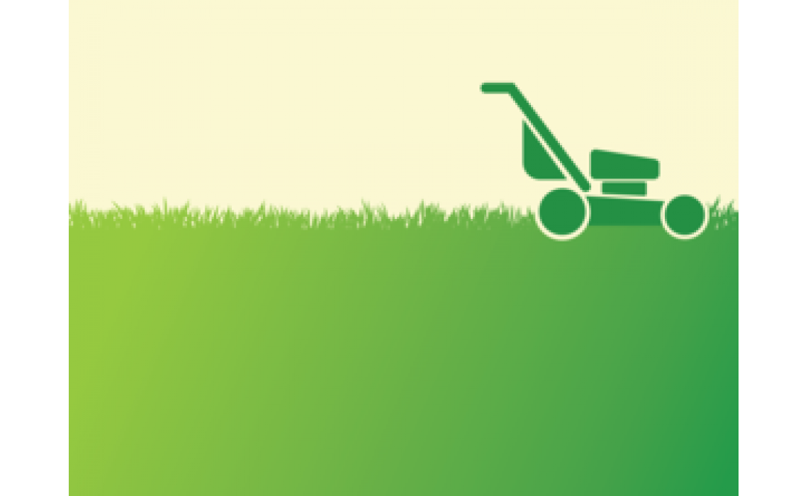NATURAL LAWN CARE: COMMONLY USED CHEMICALS & NATURAL OPTIONS
