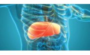 Natural Ways to Reverse Fatty Liver Disease