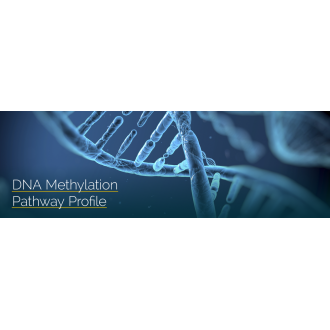 DNA Methylation Pathway Profile Test by GPL